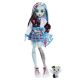 Εικόνα της Mattel Monster High - Watzie Frankie Stein HHK53