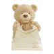 Εικόνα της Spin Master Gund - Λούτρινο Αρκουδάκ Peek A Boo 6069428