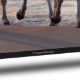 Εικόνα της Τηλεόραση Thomson 50UA5S13 50" Smart 4K HDR10 Dolby Vision Android