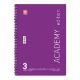 Εικόνα της Typotrust - Τετράδιο Spiral Academy Ριγέ B5 3 Θεμάτων 4553-11 (Διάφορα Χρώματα)