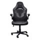 Εικόνα της Gaming Chair Trust GXT 703 Riye Black 25128