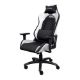 Εικόνα της Gaming Chair Trust GXT 714W Ruya White 25065