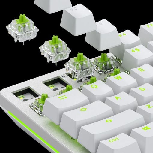 Εικόνα της Glorious PC Gaming Race 36 Raptor Clicky Switches Pack GLO-SWT-RAPTOR-LUBED