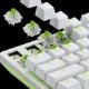 Εικόνα της Glorious PC Gaming Race 36 Raptor Clicky Switches Pack GLO-SWT-RAPTOR-LUBED