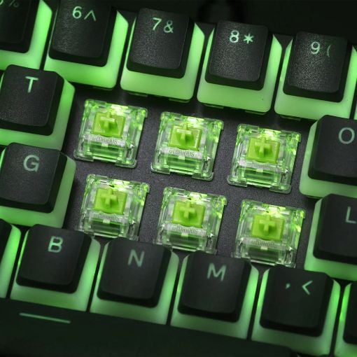 Εικόνα της Glorious PC Gaming Race 36 Raptor Clicky Switches Pack GLO-SWT-RAPTOR-LUBED