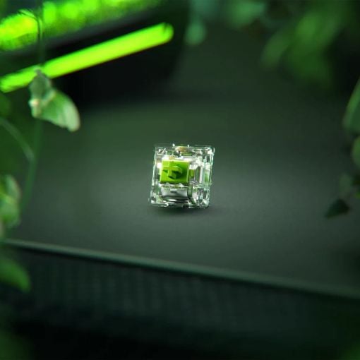 Εικόνα της Glorious PC Gaming Race 36 Raptor Clicky Switches Pack GLO-SWT-RAPTOR-LUBED