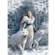 Εικόνα της Clementoni - Puzzle Anne Stokes Winter Guardians 1000pcs 1260-39477