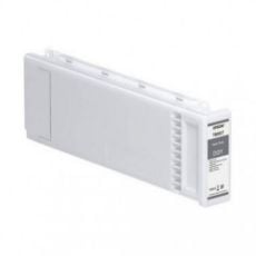Εικόνα της Μελάνι Epson Dark Gray C13T800700