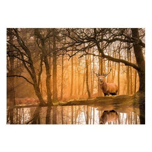 Εικόνα της Clementoni - Peace Puzzles Rustling Silence 500pcs 1220-35118