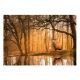 Εικόνα της Clementoni - Peace Puzzles Rustling Silence 500pcs 1220-35118