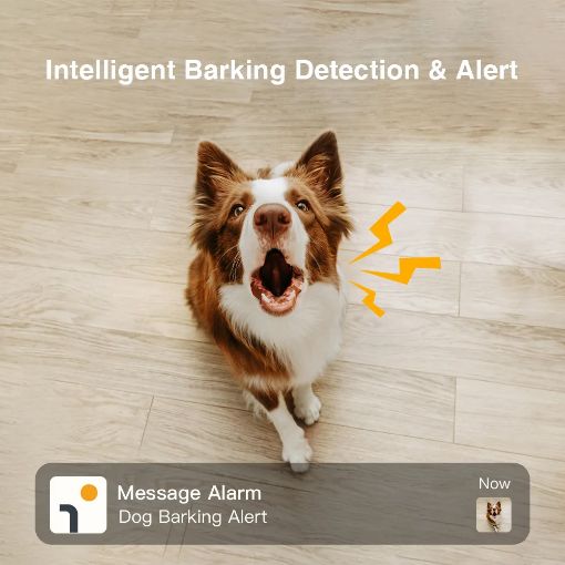 Εικόνα της Indoor Wireless Dog Treat Camera Arenti Petcam1T 2K
