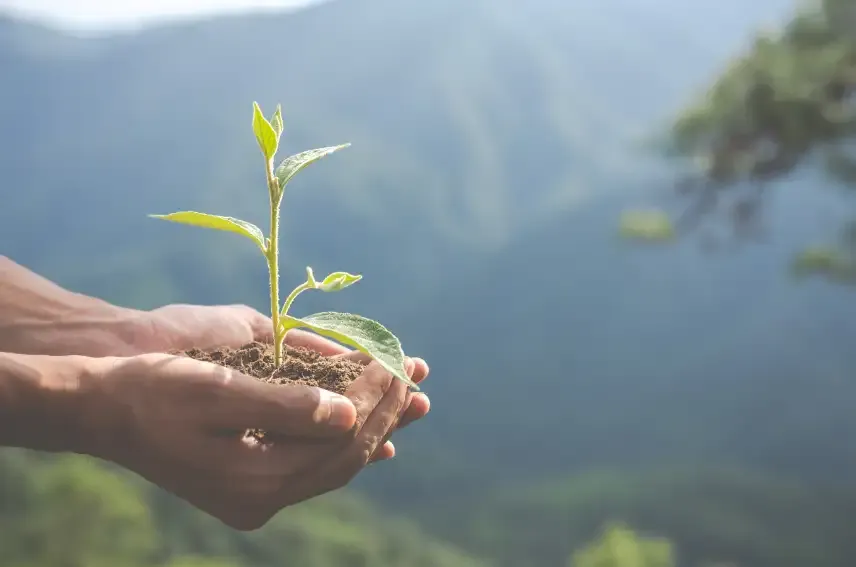 Έχουμε τις πιο ecofriendly συνήθειες που θα σου αλλάξουν τη ζωή! 