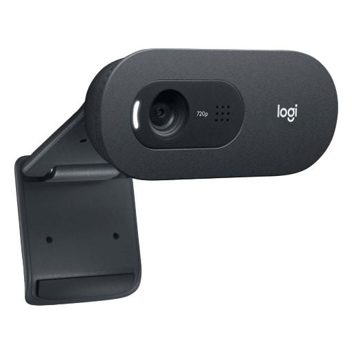 Εικόνα της Webcam Logitech C505 HD 960-001364