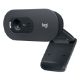 Εικόνα της Webcam Logitech C505 HD 960-001364