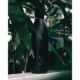 Εικόνα της Μπουκάλι Θερμός Chilly's All Black 750ml 200410