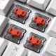 Εικόνα της Πληκτρολόγιο Sharkoon PureWriter Kailh Red Switches RGB US Λευκό