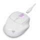 Εικόνα της Ποντίκι Sharkoon OfficePal M25W White