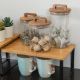Εικόνα της Δοχείο Αποθήκευσης Estia Allure Γυάλινοm 1300ml 10x10x22cm 01-17491