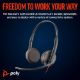 Εικόνα της Headset Poly Blackwire 3225 Stereo USB-C + 3.5mm Plug + USB-C/A Adapter (Bulk) Black 8X229A6