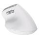 Εικόνα της Ποντίκι Trust Bayo II Ergonomic Wireless White 25398