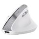 Εικόνα της Ποντίκι Trust Bayo II Ergonomic Wireless White 25398