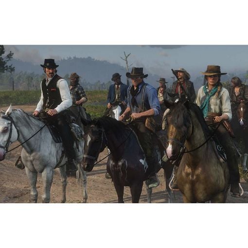 Εικόνα της Red Dead Redemption 2 PS4 027399