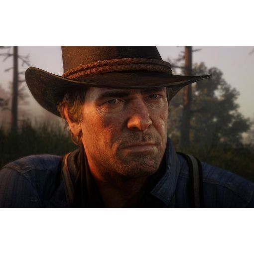 Εικόνα της Red Dead Redemption 2 PS4 027399
