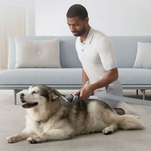 Εικόνα της Dyson Σετ Εξαρτημάτων Καθαρισμού Κατοικιδίων 972205-01