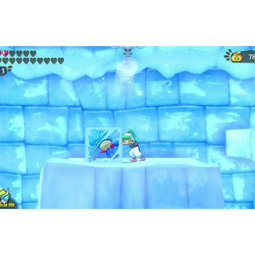 Εικόνα της Wonder Boy Asha in Monster World Nintedo Switch 064785