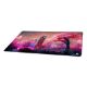 Εικόνα της Mouse Pad Sharkoon Skiller SGP40 D4