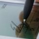 Εικόνα της Wacom Signature Pad LCD Color STU-540