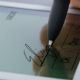 Εικόνα της Wacom Signature Pad LCD Mono STU-430
