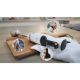 Εικόνα της Ραβδομπλέντερ Bosch 0.6lt 600W Black/White MSM4W210