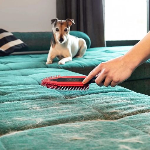 Εικόνα της Βούρτσα Κατοικίδιων Vileda Pet Pro Electrostatic 173019