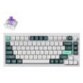 Εικόνα της Πληκτρολόγιο Keychron Q1 HE QMK 75% Wireless Magnetic Purple Switches (US) Shell White Q1H-P1