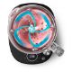 Εικόνα της Μπλέντερ για Smoothies Philips 7000 Series 2lt 1500W Silver HR3760/00