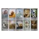 Εικόνα της Fujifilm Instax Mini Stone Grey Instant Film (10 Sheets) 16754043