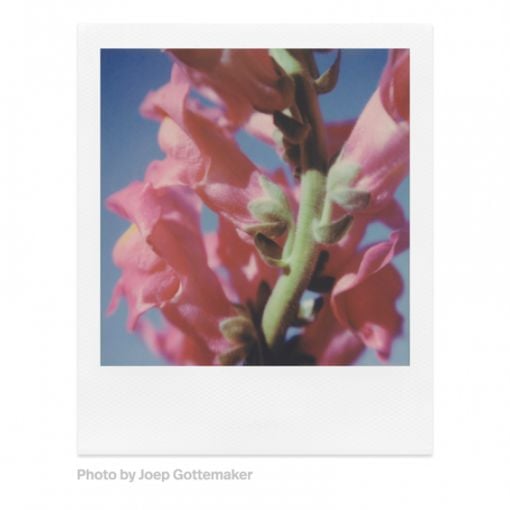Εικόνα της Polaroid Color Film for SX-70 (8 Exposures)