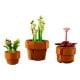 Εικόνα της LEGO Botanicals: Tiny Plants 10329