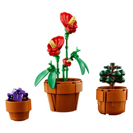 Εικόνα της LEGO Botanicals: Tiny Plants 10329