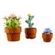Εικόνα της LEGO Botanicals: Tiny Plants 10329