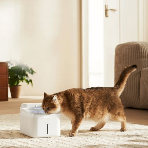 Εικόνα της Xiaomi Smart Pet Fountain 2 BHR9486EU