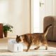 Εικόνα της Xiaomi Smart Pet Fountain 2 BHR9486EU