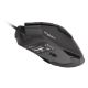 Εικόνα της Ποντίκι Genesis Krypton 220 Wired RGB Black NMG-1770