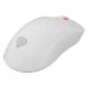 Εικόνα της Ποντίκι Genesis Zircon XIII Custom Wireless RGB White NMG-2090
