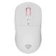 Εικόνα της Ποντίκι Genesis Zircon XIII Custom Wireless RGB White NMG-2090
