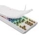 Εικόνα της Πληκτρολόγιο Genesis Thor 230 TKL RGB Hot-Swappable Brown Switches (US) White NKG-2080