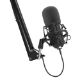 Εικόνα της Microphone Genesis Radium 400 G2 USB with Arm Black NGM-2285