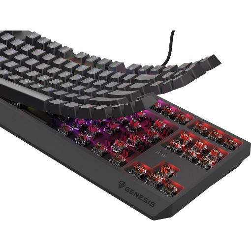 Εικόνα της Πληκτρολόγιο Genesis Thor 230 TKL RGB Hot-Swappable Brown Switches (US) Black NKG-2079