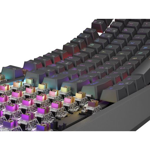 Εικόνα της Πληκτρολόγιο Genesis Thor 230 TKL RGB Hot-Swappable Brown Switches (US) Black NKG-2079